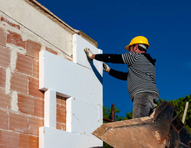 Best Home Insulation Services  in Pearl Beach, MI