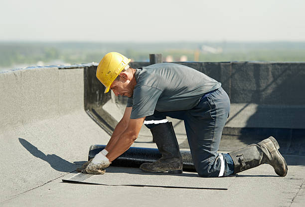 Best Commercial Insulation Contractor  in Pearl Beach, MI