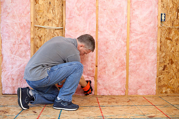 Best Attic Insulation Installation  in Pearl Beach, MI