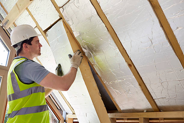 Best Professional Insulation Contractor  in Pearl Beach, MI