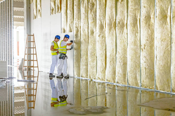 Best Insulation Repair Services  in Pearl Beach, MI